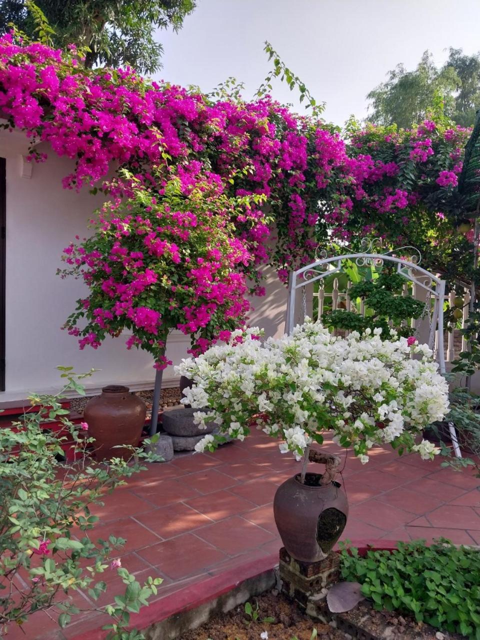 Nha Xanh Homestay Ninh Binh Exterior photo
